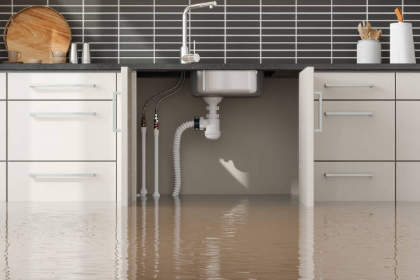 Trusted Water Damage Restoration in Wescosville, PA | Fast, Reliable, and Ready to Assist You